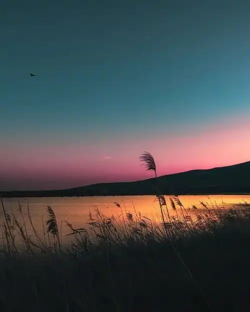 文字控很火的背景图(抖音最火的配图文字) | 爱壹情感