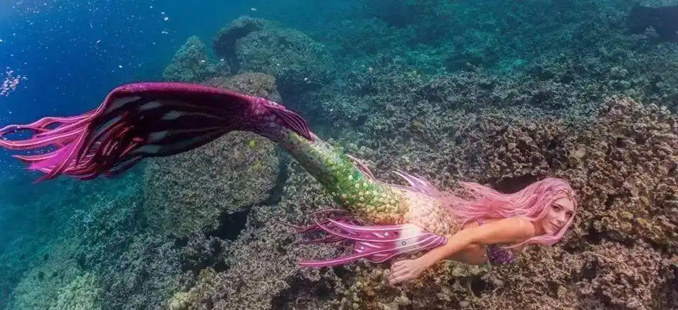 美人鱼竟然是一种职业