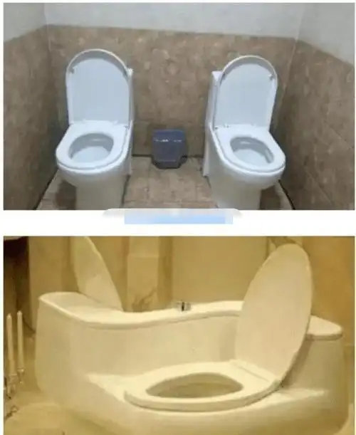 应该是为了情侣量身定做的双人马桶是要实现有空一起拉屎?