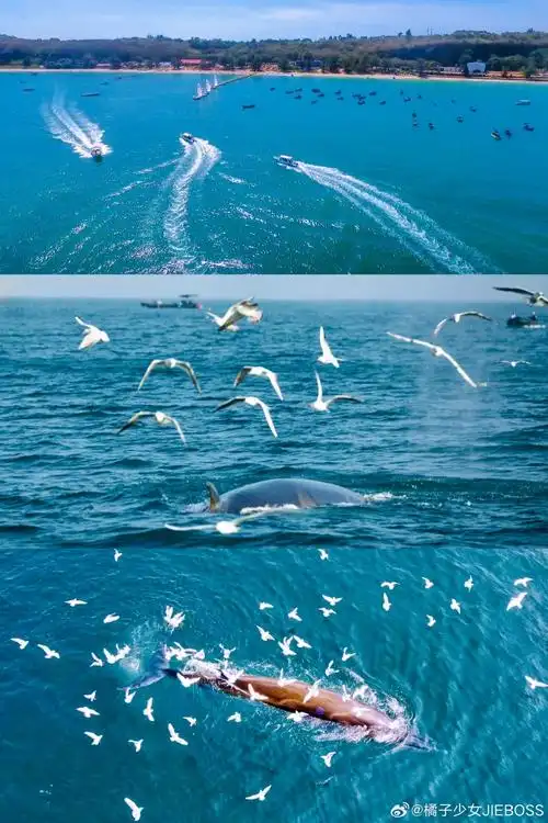 海岛游##涠洲岛##亿点曝光计划##我的旅行日记##一起去看海