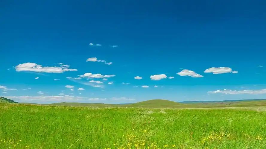 电脑桌面壁纸尺寸(1920x1080)适合任何电脑尺码,全是以绿色图片为背景