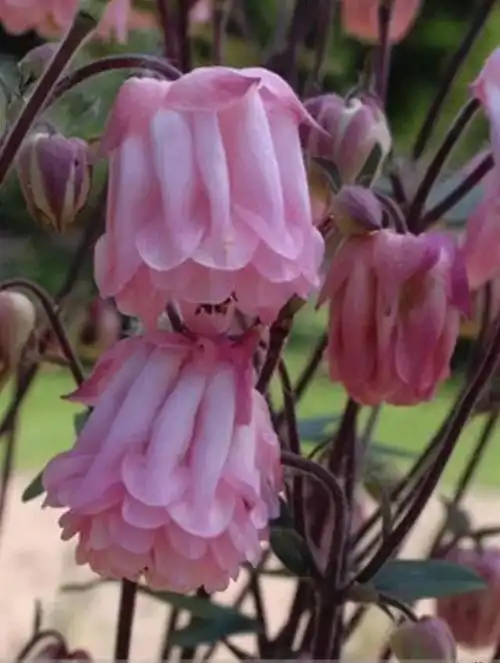 640_848竖版 竖屏