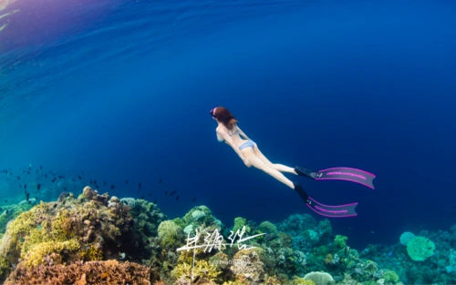 深邃_潜水_poco摄影,潜水,潜水摄影,摄影,大海,自由潜