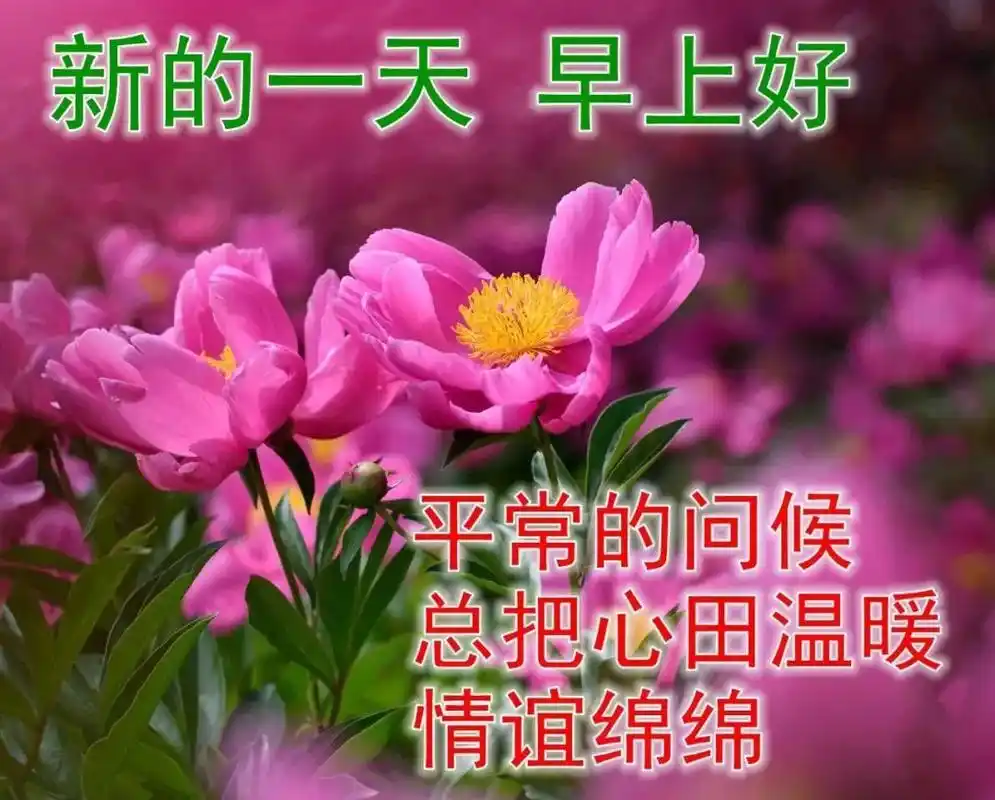 11张初春早安图片带字推荐,早上好问候语图片