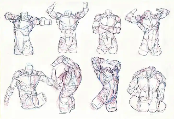 【习作】人体结构基础训练稿