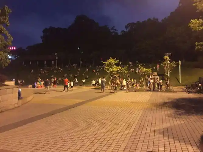 现在是个美好的夜晚,我们一家人出去散步,去黄金山公园.