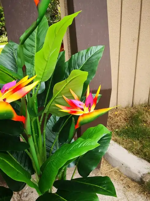 旅人蕉酒店大厅摆放绿植 盆栽室内外摆设假树 天堂鸟红掌假花树