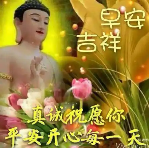 早上好祝福图片早上好问候句子