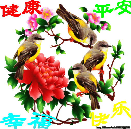 600_589gif 动态图 动图