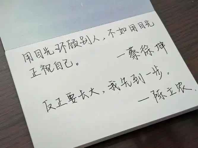 手写day24明星语录2ninepercent966