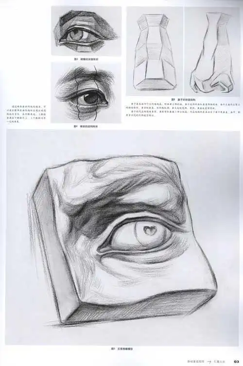 基础素描教程石膏五官