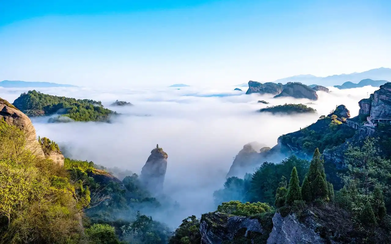 这里藏着中国最美的"一柱擎天",冠豸山"生命之根"
