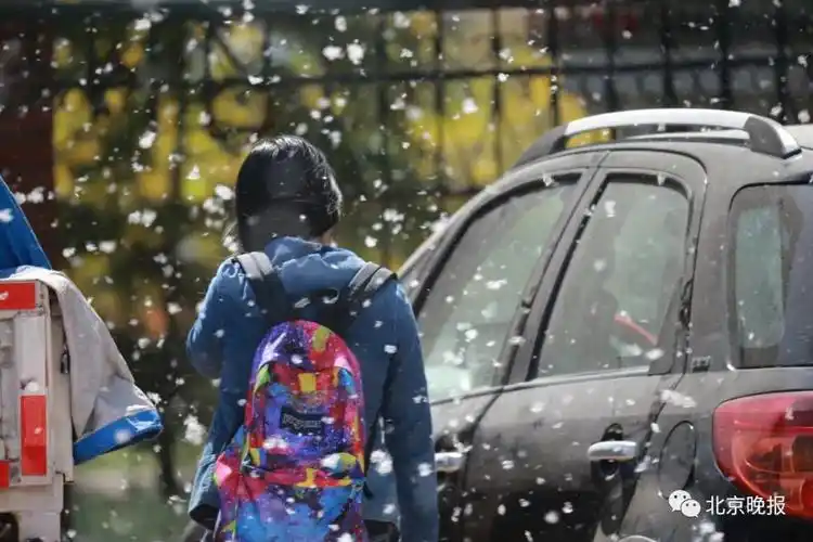 杨柳絮中存在新冠病毒专家没有证据