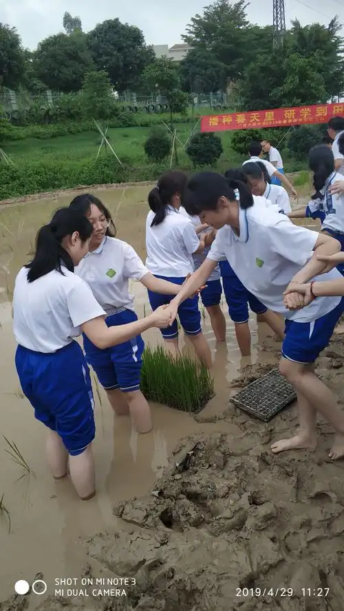 体验农耕生活,感受团队力量——高二12班学农总结