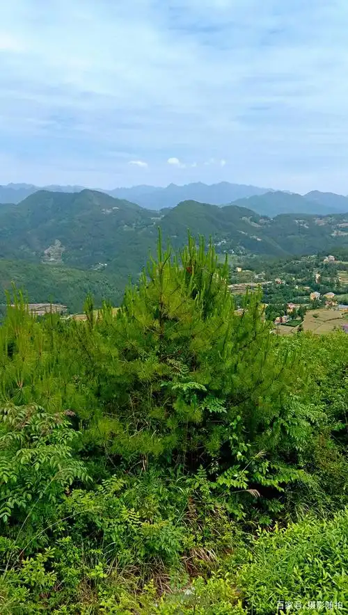 摄影随拍,农村风景,2021年第48期