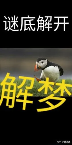 做了很可怕的噩梦,而且重复很多次都是同一个梦,该怎么办啊?