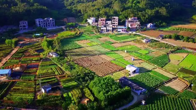 名单公布增城13个村上榜