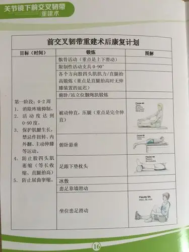 前交叉韧带术后康复2 - 好大夫在线