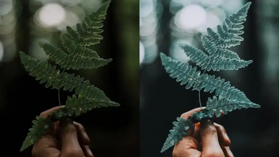 ins上最火的莫兰迪色,如何让摄影作品高级且温柔 - 图虫网 - 优质摄影