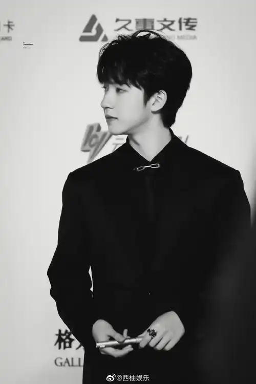 tmea盛典红毯#|#贺峻霖 tmea腾讯音乐娱乐盛典#黑色西装yyds!