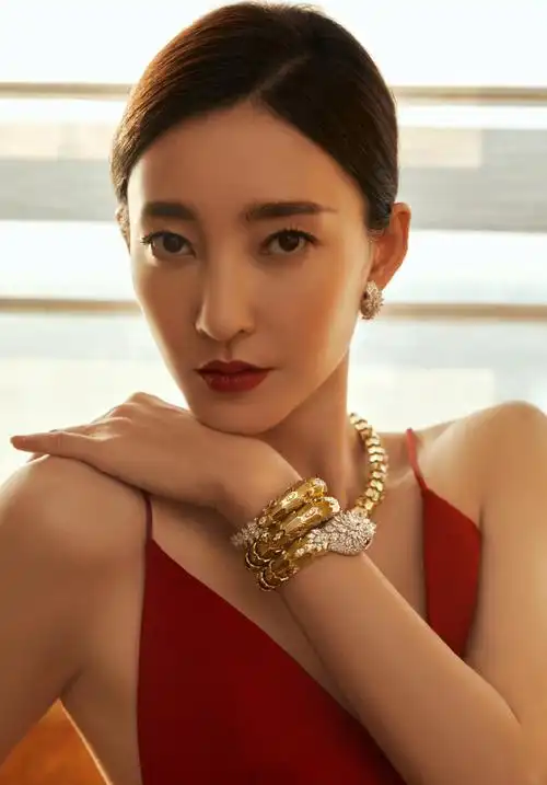 王丽坤相关图片