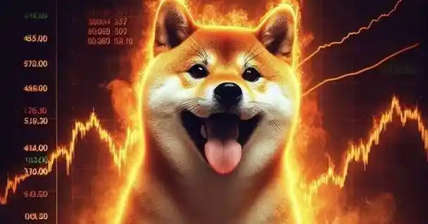 求大神解答一下