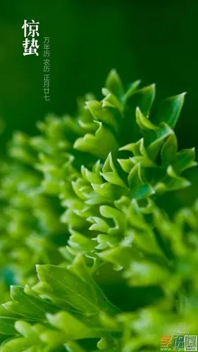 高清微信护眼图