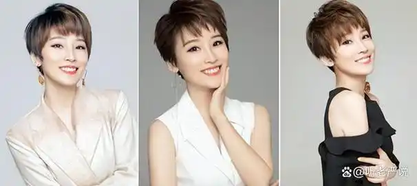 著名主持人,明星—谢楠介绍