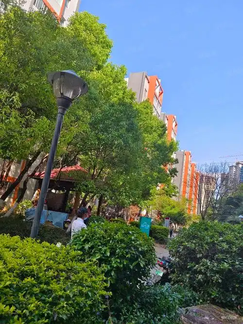 铁合金怡芳苑小区(二期)3室2厅1卫79.12㎡南北98万