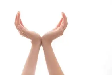 双手手腕贴在一起手掌自然弯曲向上托起
