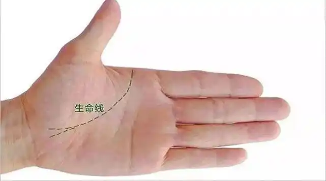 看手掌生命线长短的方法