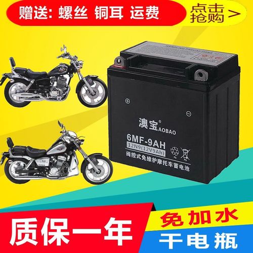 摩托车干电瓶大地鹰王dd125e dd150e dd250 dd350e巡航太子蓄电池