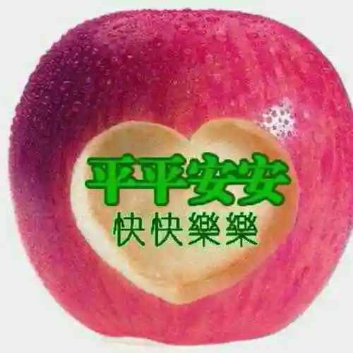 平平安安170476531头像