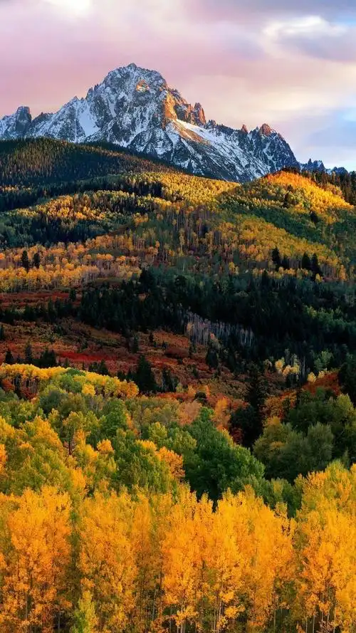 你们要不要这样子?