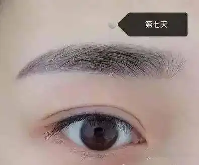 纹眉一到七天恢复图片,纹眉后的恢复图片(纹眉后恢复过程!不要惊慌)