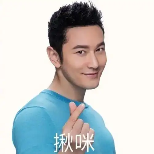 抖音土味情话黄晓明表情包图片大全免费版下载 v1.0截图