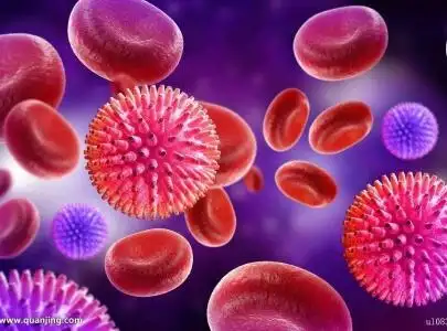 血细胞又称"血球",是存在于血液中的细胞,能随血液的流动遍及全身