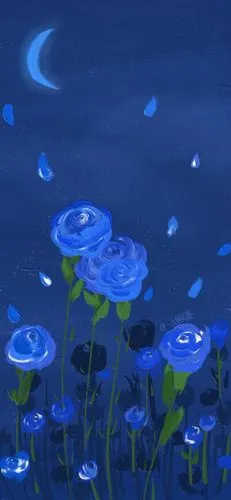 苹果11聊天背景/锁屏/壁纸