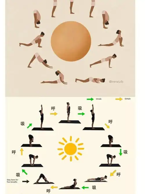 如果每天坚持练习拜日,对身体是有很多好处,更为以后的高级瑜伽体式打