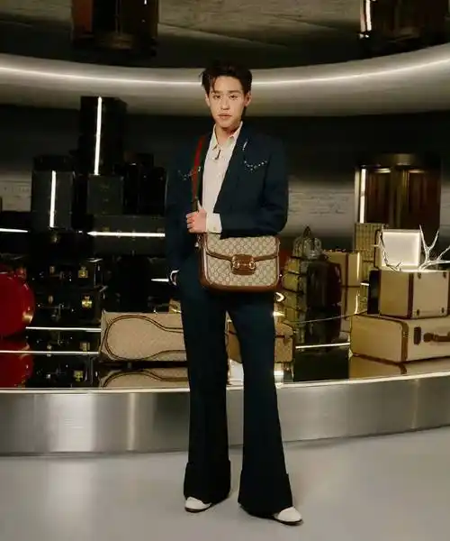 李宇春倪妮鹿晗肖战舒淇宋佳段奕宏演绎百年古驰-第57张图片-绍兴汽车