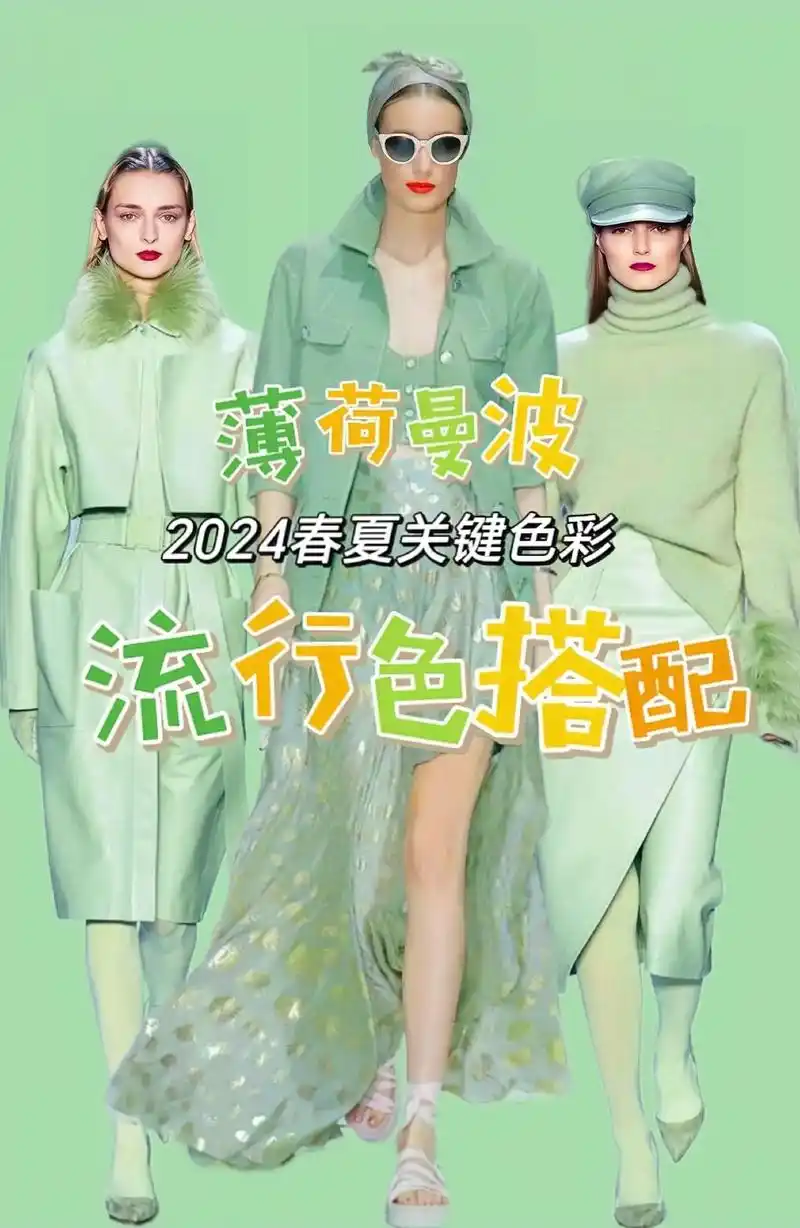 什么是薄荷曼波?曼波源自南美 - 抖音