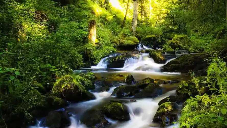 黄埔首期准导师训练与授权课视频-11