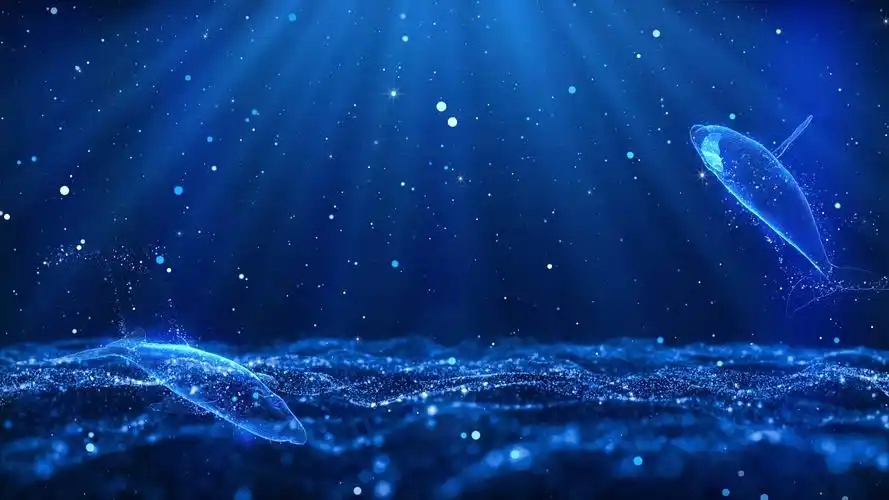 4k蓝色治愈鲸鱼背景鲸鱼视频背景