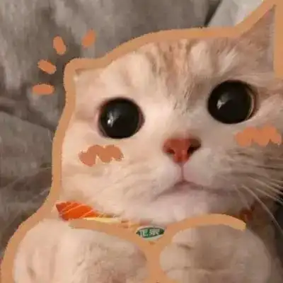 优雅可爱的呆萌小猫头像精致
