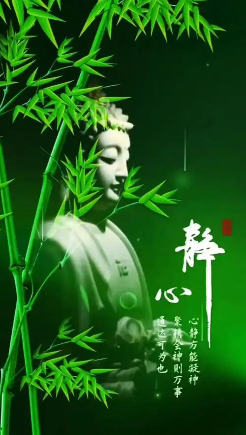 静心动态壁纸