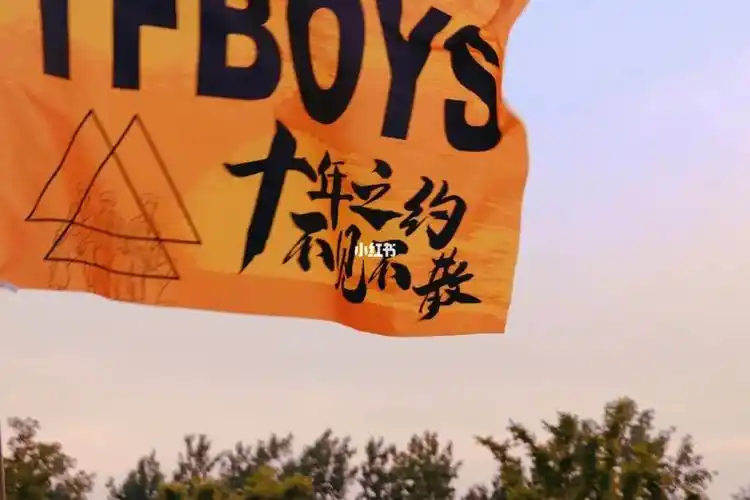 tfboys南中医演唱会09
