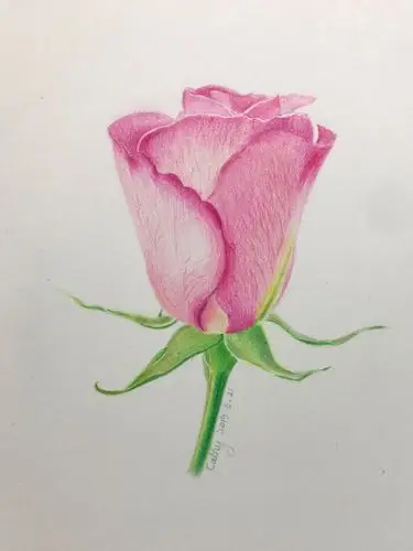 其它 色的诱惑～我的彩铅画(四) 写美篇  颈椎术后好久没有画画,医生