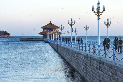 美丽的青岛栈桥海鸥 - 美篇