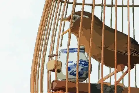 梦见笼子里鸟飞了