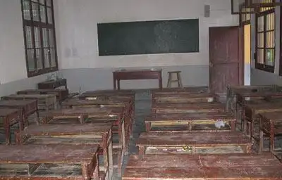 评博士返乡手记你阳光农村就不凋敝